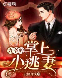 九爷的掌心小甜妻全文阅读